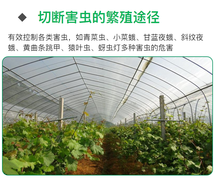 大棚专用防虫网养殖场猪场专用防蚊网防蝇网 全新料 蔬菜大棚防虫网隔虫网 隔虫网 防虫网 猪场防蚊网