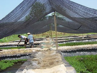 北京遮土网 质量好的遮阳网昊辰永兴厂家批发销售 太阳网送货上门