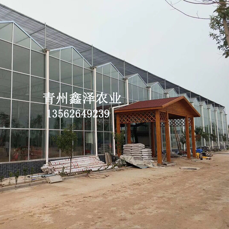 广东广东生态餐厅 连栋生态餐厅蔬菜温室大棚 玻璃生态餐厅温室出厂价格直销