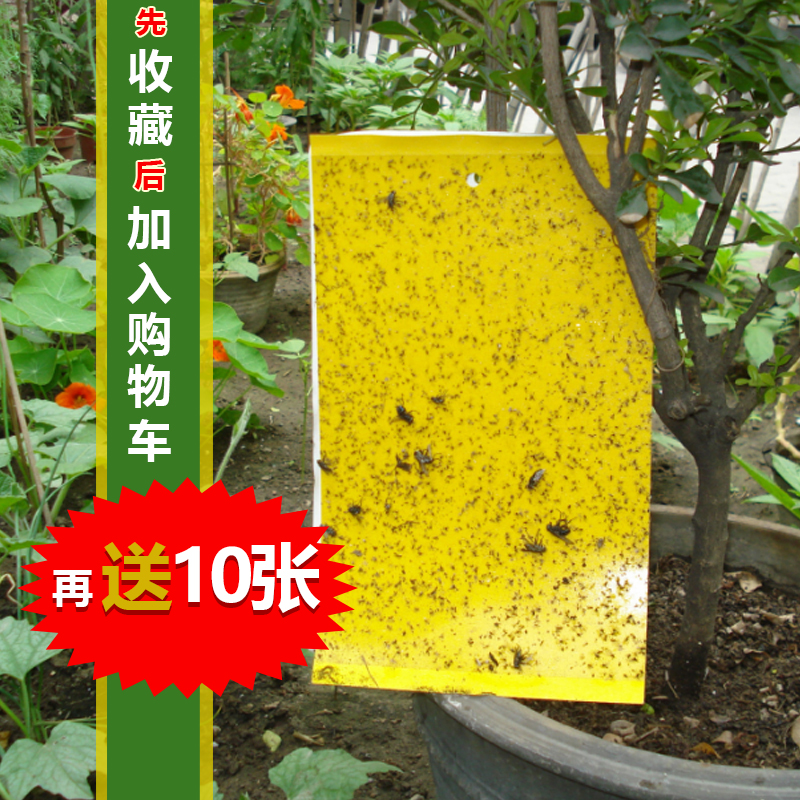 甘肃白银菜园粘虫板 支架式粘虫板 悬挂式双面粘虫板  大棚粘虫板哪里有卖