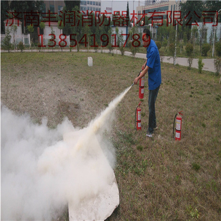 山东山东济南灭火器年检 灭火器换粉充粉加粉维修 济南灭火器充压 质保一年