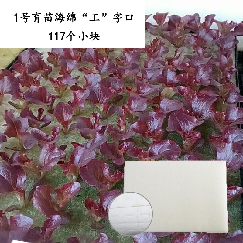 江苏南通幸运买家无土栽培设备蔬菜定植阳台生菜水培专用工字1号育苗海绵 育苗海绵 批发定制