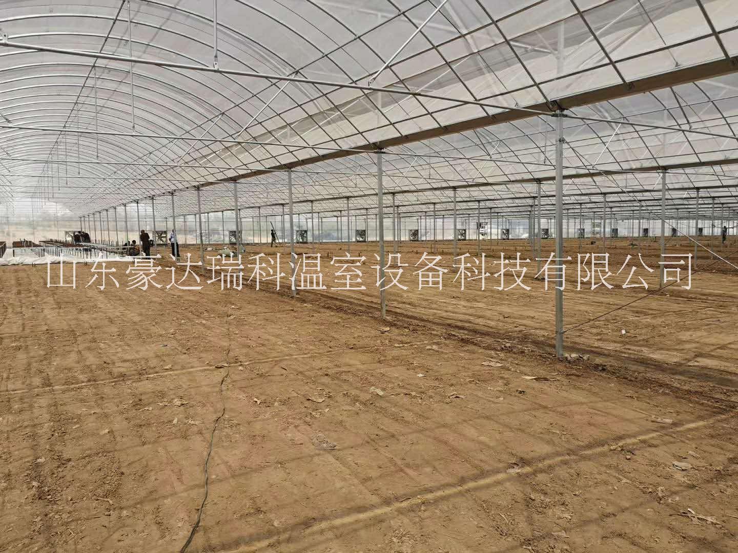 山东山东供应育苗膜连栋温室建设|薄膜连栋温室建造