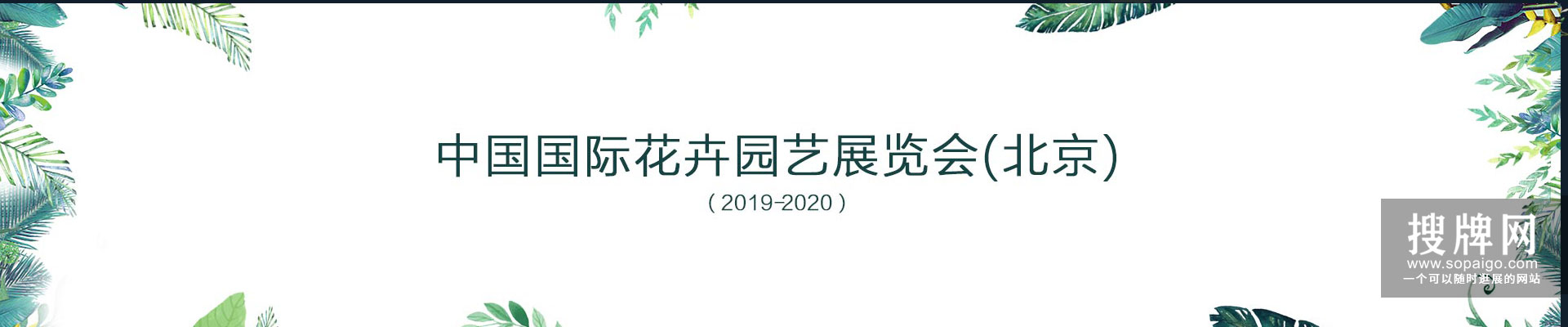 山东山东搜牌网(图)-花卉市场-花卉