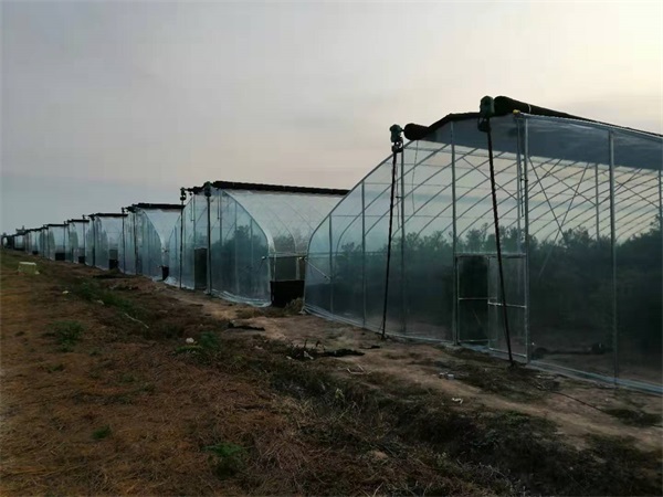 北方温室大棚厂家-临汾阳光板花卉大棚厂家