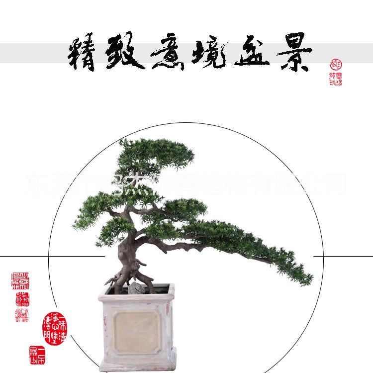 植物盆景景观工艺品室内庭院摆设 东莞植物盆景植物盆景生产厂家 仿真罗汉松盆景工艺品 仿真罗汉松盆景工艺品BC101