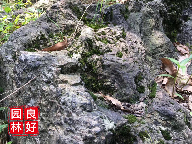 水族鱼缸造景石，