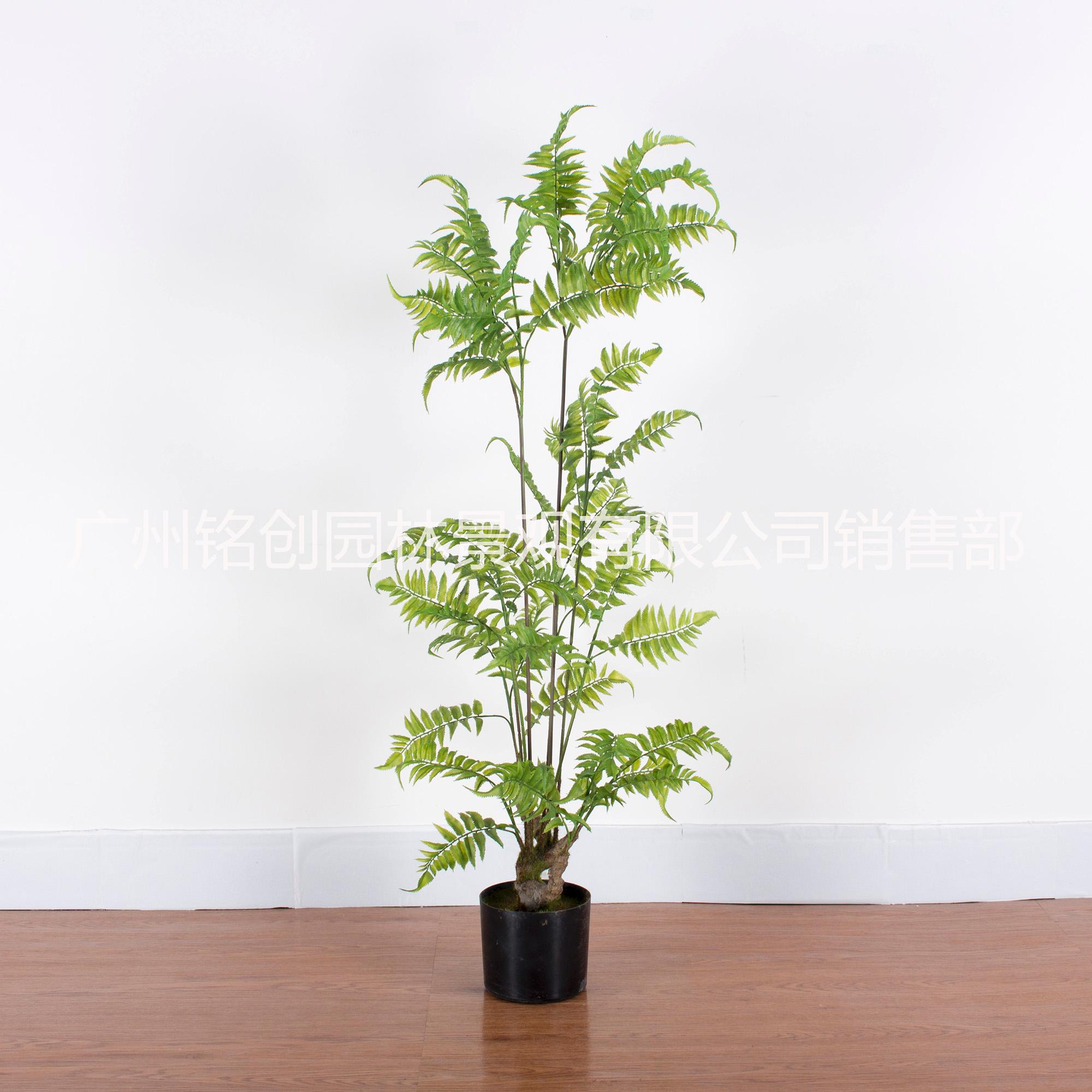 仿真植物盆景波斯