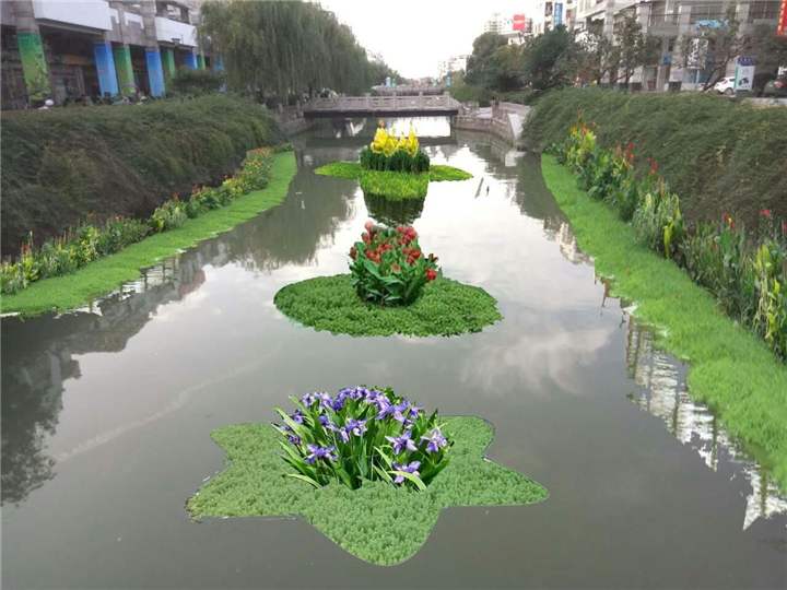 批发武汉水生植物浮岛供应  武汉水生植物浮岛价格