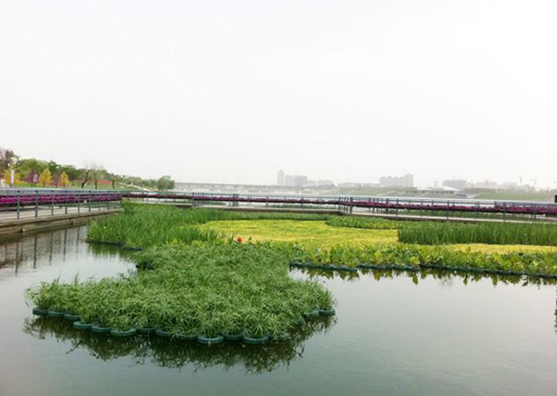 河北河北供应用于水生植物的河北人工浮岛基地|价格