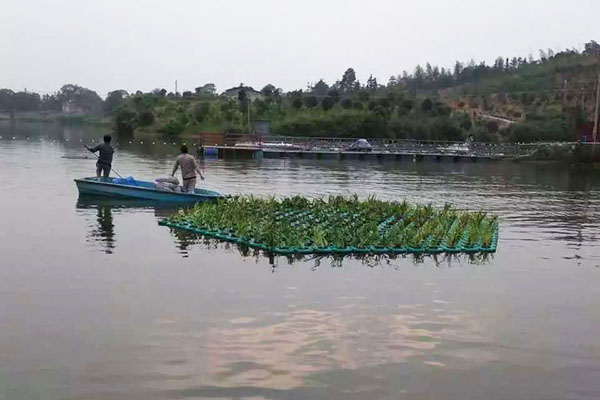 水生植物浮岛、聚格塑料制品厂(推荐商家)