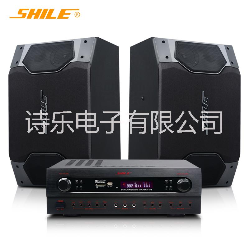 狮乐（SHILE） AV1018+BX109家庭娱乐音响系统 卡拉OK家庭影院音箱 10英寸木质音箱  KTV音响系统