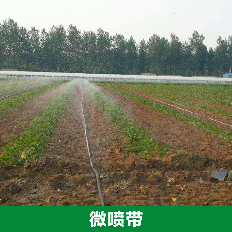 山东泰安双城节水灌溉公司供应微喷带 优质田地喷灌带 环保节能灌溉设备 山东供应微喷带