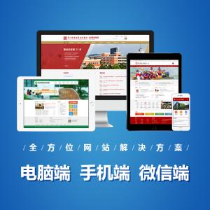 山东青岛青岛做网站、小程序开发、APP开发