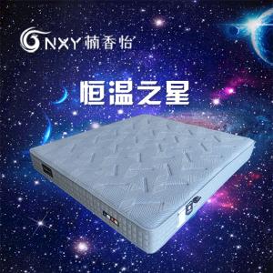 河南郑州恒温之星 1.8x2米  软硬适中床垫  双人