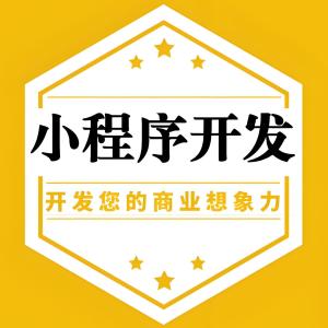 山东青岛广州小程序开发公司,广州小程序制作公司,广州小程序制作首选佐维营销