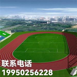 四川成都南充足球场草坪建设 德阳足球场草坪建设 广安足球场草坪建设 巴中足球场草坪建设