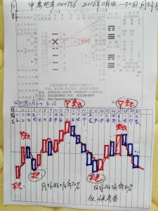 辽宁沈阳中房地产（000736）2016年11月月挂图