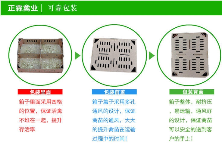 正霖禽产品1