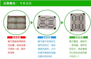 黑龙江哈尔滨正霖禽产品1