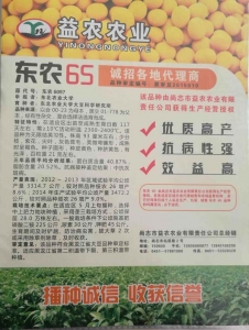 黑龙江佳木斯东农65