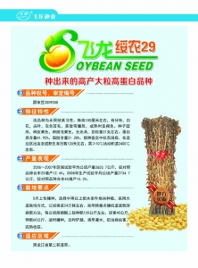 黑龙江佳木斯绥农29