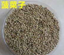 黑龙江佳木斯菠菜籽