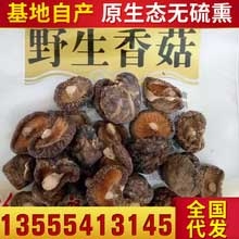 黑龙江牡丹江**香菇