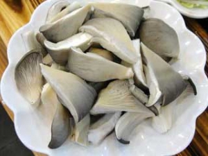 吉林四平佳益菌业