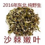 辽宁朝阳东北**沙棘叶 沙棘茶