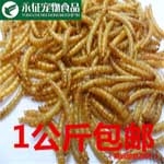 黄粉虫干面包虫干出口级优质宠物食品批发1kg