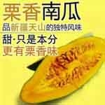 山东潍坊新疆贵族南瓜