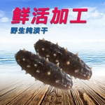 山东烟台优质天然正宗**淡干海参干肉