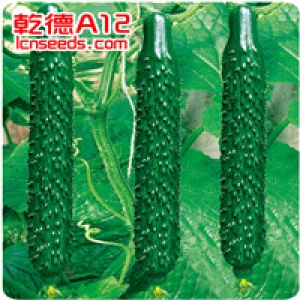 山东潍坊寿光蔬菜