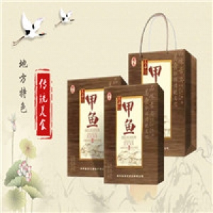 山东泰安安文食品