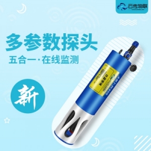 水产养殖投入时AMT-LLZ水质传感器