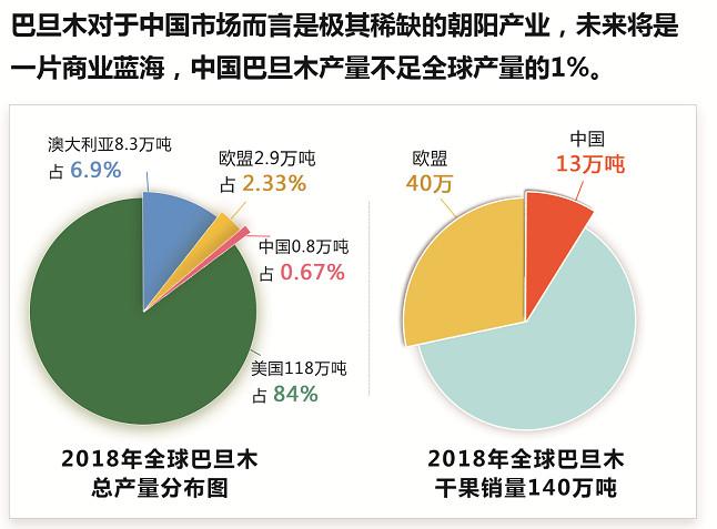 巴旦木苗木基地！供应高产高质量巴旦木（扁桃）苗木和种苗！