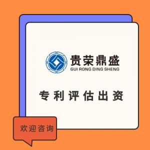 四川成都雅安市专利出资评估软著实缴评估商标价值评估知识产权评估