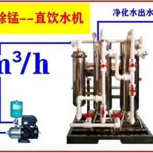 舒得牌原水处理设备地下水除铁除锰器净水器井水除铁除锰过滤器不锈钢材质家庭单位食堂餐饮行业野外宿营