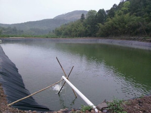 山东德州直销供应鱼塘防渗膜水池防水土工膜黑色防渗膜价格优惠