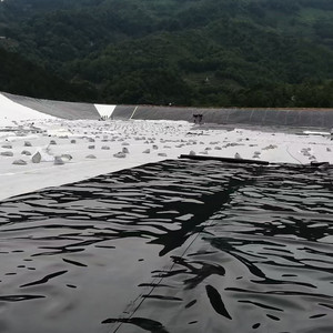 垃圾填埋场防渗1.5mmHDPE土工膜污水处理蓄水池莲藕养植防渗膜建材