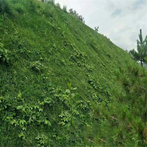 永坤客土喷播矿山复绿矿山绿化三维网植草护坡客土喷播厂家8天复绿实力老厂