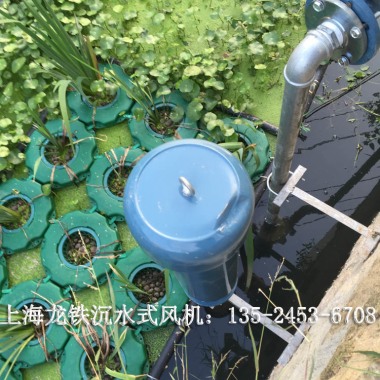 生态水利治理之沉水式鼓风机  低噪音 LTW-8055 沉水风机