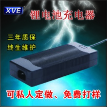 广东广东供应58.8V2A电动滑板车充电器锂电池充电器厂家直销XVE-电动滑板车充电器