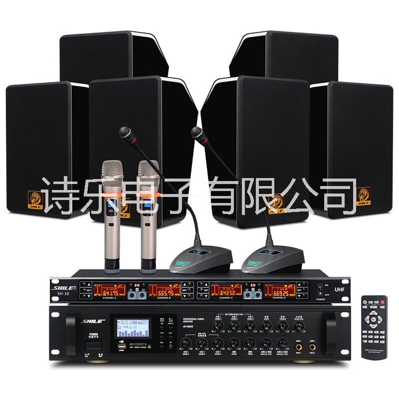 大型会议音响组合套装 AV8820/BG-6/SH10培训室店铺背景音乐蓝牙功放音箱 音响系统