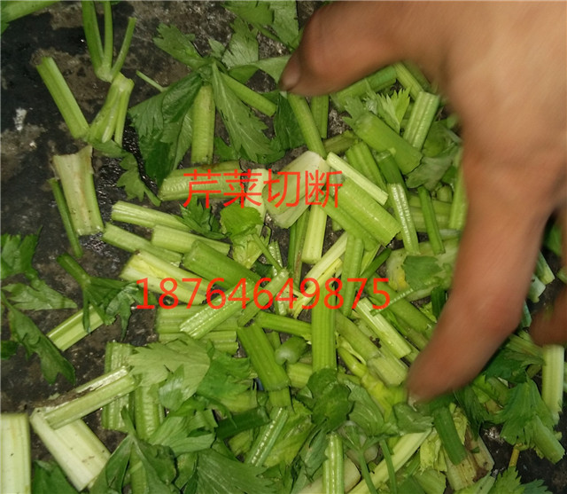 山东潍坊1000型切菜机_浙江切菜机_诸城鼎迅机械