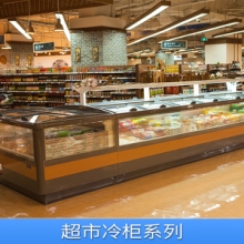 海南海口超市冷柜系列饺子低温柜火锅食品冷冻柜包子冷藏柜雪糕柜厂家直销