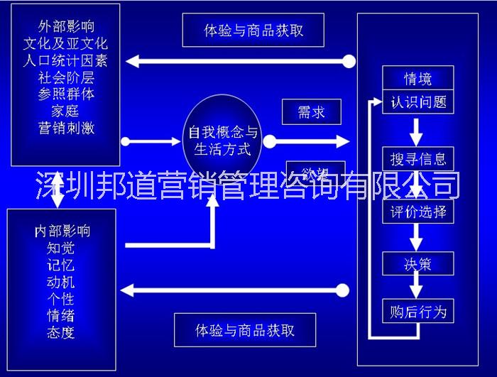 供应用于营销管理咨询|市场调研分析的消费者行为习惯调研分析