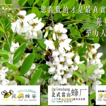 供应用于加工的沙河市养蜂协会蜂蜜蜂王浆蜂