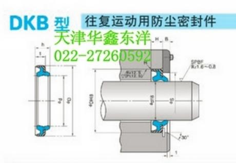 NOK防尘密封件DKB型AR3828F5（85998/11）现货